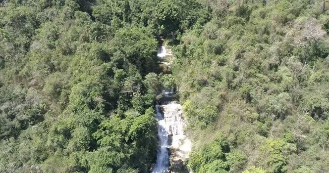 Aerial view of a cascading waterfall in the forest Venezuela.