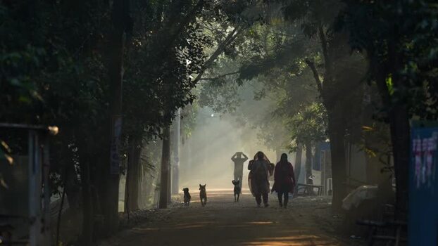 View of people and dogs walking on a misty road in Bogura Bangladesh. View of people and dogs walking on a misty road in Bogura Bangladesh.