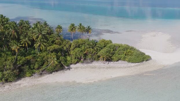 Aerial view of a tropical island with palm trees Maldives.