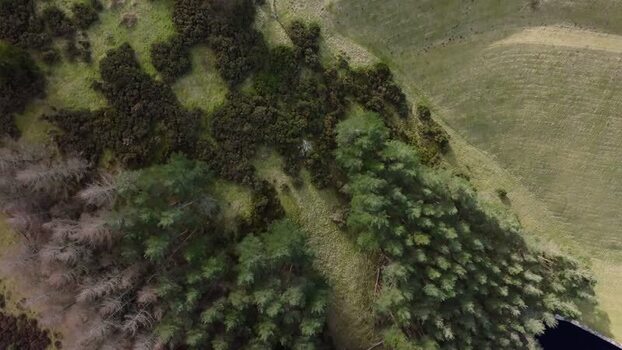 Aerial view of Whiteadder Reservoir and forest United Kingdom. Aerial view of Whiteadder Reservoir and forest United Kingdom.