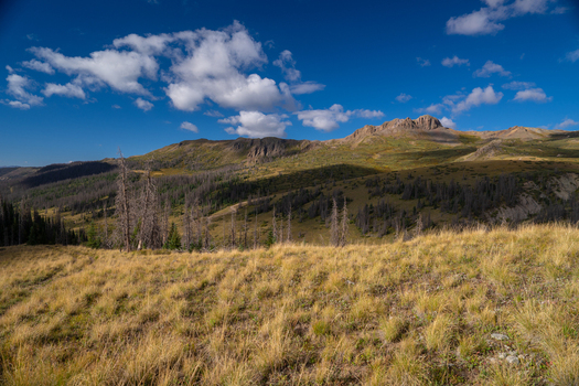 View of San Luis Peak rising above the golden alpine meadows and rugged terrain near the West Willow Creek Trailhead in Creede Colorado United States. View of San Luis Peak rising above the golden alpine meadows and rugged terrain near the West Willow Creek Trailhead in Creede Colorado United States.