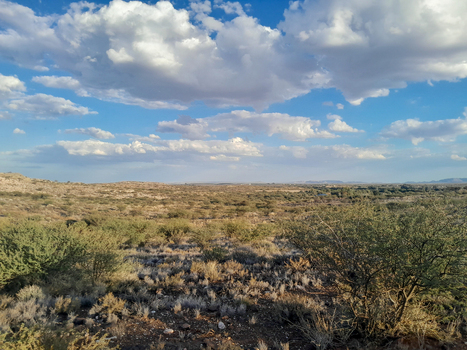View of the arid rural landscape featuring sparse shrubs dry earth and a vast blue sky with scattered clouds in Grootdrink Northern Cape South Africa. View of the arid rural landscape featuring sparse shrubs dry earth and a vast blue sky with scattered clouds in Grootdrink Northern Cape South Africa.
