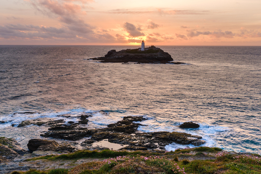 View of Godrevy Lighthouse on a rocky island at sunset with pink flowers on the foreground cliffs in Hayle Cornwall United Kingdom.