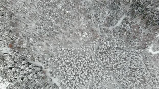 Aerial view of snow covered forest in Brasov Romania. Aerial view of snow covered forest in Brasov Romania.
