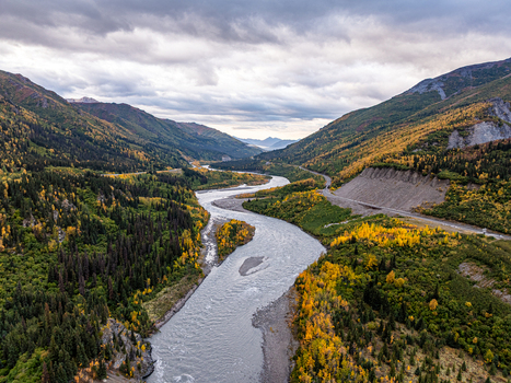 Aerial view of the Nenana River winding through a valley with autumn foliage evergreen trees and a road along the riverbank in Yukon Koyukuk Census Area Alaska United States. Aerial view of the Nenana River winding through a valley with autumn foliage evergreen trees and a road along the riverbank in Yukon Koyukuk Census Area Alaska United States.