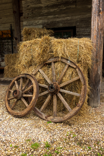 View of vintage wooden cart wheels leaning against hay bales near a rustic log barn in Taujenai Vilnius County Lithuania.