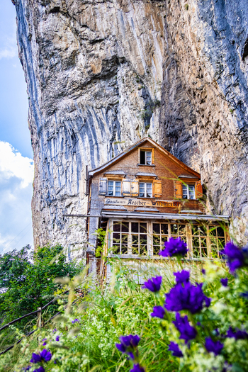 View of a rustic wooden building nestled within a sheer imposing cliff face framed by vibrant purple wildflowers in Schwende Rüte Appenzell Innerrhoden Switzerland. View of a rustic wooden building nestled within a sheer imposing cliff face framed by vibrant purple wildflowers in Schwende Rüte Appenzell Innerrhoden Switzerland.