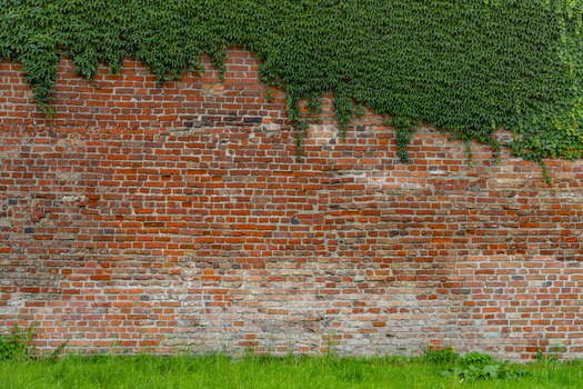 View of a weathered red brick wall partially covered with lush green ivy set against a vibrant green grass lawn in Gdansk Pomeranian Voivodeship Poland. View of a weathered red brick wall partially covered with lush green ivy set against a vibrant green grass lawn in Gdansk Pomeranian Voivodeship Poland.