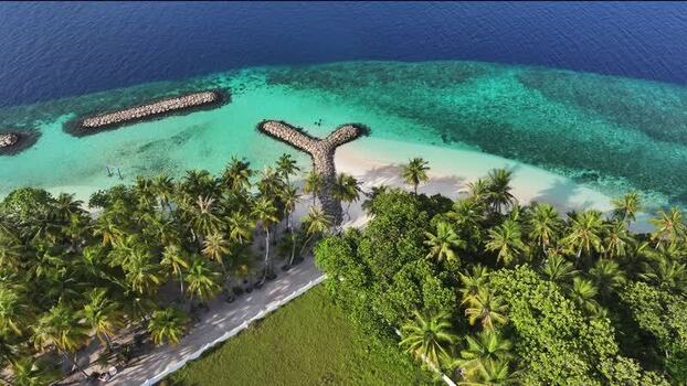 Aerial view of tropical palm trees and turquoise water Maldives. Aerial view of tropical palm trees and turquoise water Maldives.