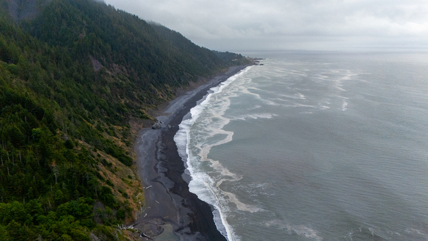 Aerial view of the Lost Coast featuring a dark sand beach and dense evergreen forest on a steep hillside under an overcast sky in Humboldt County California United States.