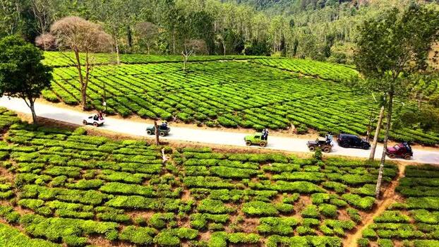 Aerial view of Kebun Teh Pangalengan tea plantation Indonesia. Aerial view of Kebun Teh Pangalengan tea plantation Indonesia.
