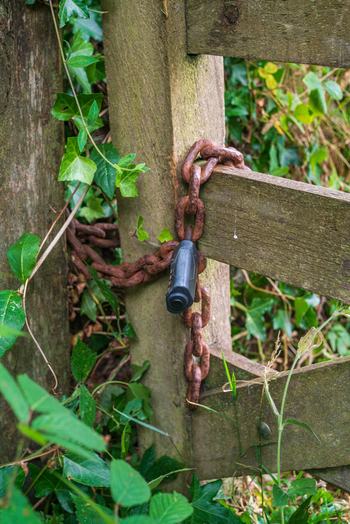 View of a rusty metal chain and a black padlock securing a weathered wooden gate surrounded by green ivy and foliage in Bodmin Cornwall United Kingdom. View of a rusty metal chain and a black padlock securing a weathered wooden gate surrounded by green ivy and foliage in Bodmin Cornwall United Kingdom.
