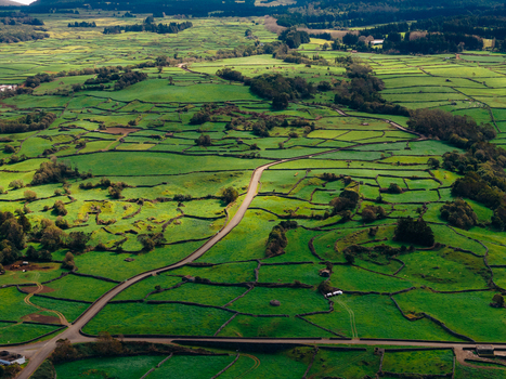 Aerial view of Terceira Island with its characteristic green pastures divided by stone walls and a winding road under soft light Azores Portugal. Aerial view of Terceira Island with its characteristic green pastures divided by stone walls and a winding road under soft light Azores Portugal.