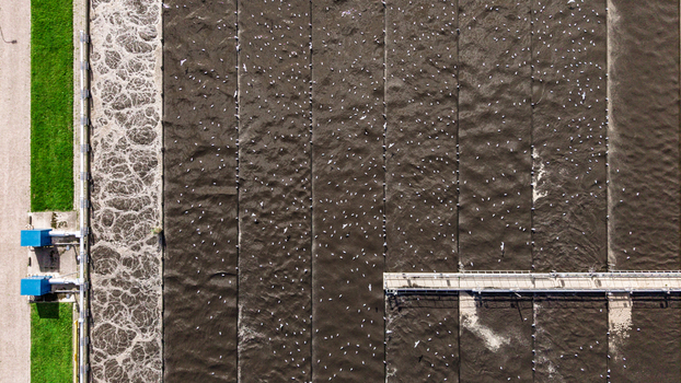 Aerial view of a wastewater treatment plant with aeration tanks filled with dark water and numerous seagulls resting on the surface in Warmenhuizen North Holland Netherlands. Aerial view of a wastewater treatment plant with aeration tanks filled with dark water and numerous seagulls resting on the surface in Warmenhuizen North Holland Netherlands.
