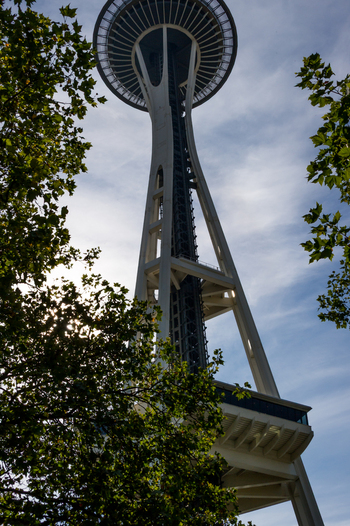 View of the Space Needle tower framed by green tree branches against a blue sky in Seattle Washington United States.