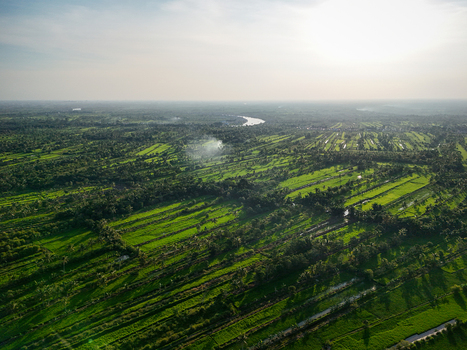 Aerial view of lush green rice paddies and agricultural fields in the rural landscape of Banjar Regency South Kalimantan Indonesia. Aerial view of lush green rice paddies and agricultural fields in the rural landscape of Banjar Regency South Kalimantan Indonesia.