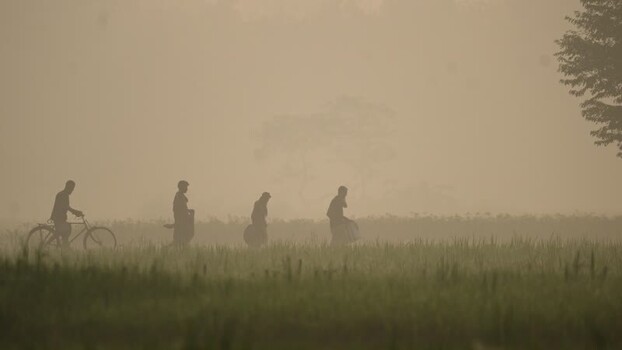 View of people walking through misty fields in Bogura Bangladesh. View of people walking through misty fields in Bogura Bangladesh.