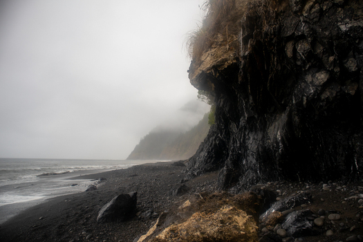 View of the rugged Lost Coast featuring dark rocky cliffs and a black sand beach under a foggy sky in Humboldt County California United States.