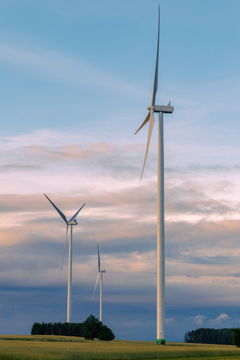 View of wind turbines standing in a golden wheat field under a soft cloudy sky at sunset in Poland.