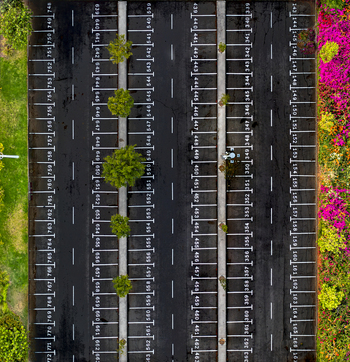 Aerial view of the parking lot at Sammy Ofer Stadium featuring numbered parking spaces small trees and vibrant bougainvillea flowers along the edge in Haifa Haifa District Israel. Aerial view of the parking lot at Sammy Ofer Stadium featuring numbered parking spaces small trees and vibrant bougainvillea flowers along the edge in Haifa Haifa District Israel.