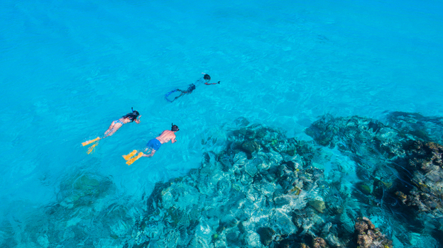 Aerial view of people snorkeling in the clear turquoise water of the Los Roques archipelago with vibrant coral reefs visible below Los Roques Dependencias Federales Venezuela. Aerial view of people snorkeling in the clear turquoise water of the Los Roques archipelago with vibrant coral reefs visible below Los Roques Dependencias Federales Venezuela.