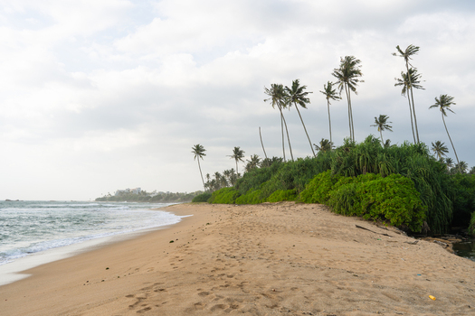 View of a sandy beach with gentle ocean waves lush tropical greenery and tall palm trees under a cloudy sky in Galle Southern Province Sri Lanka.