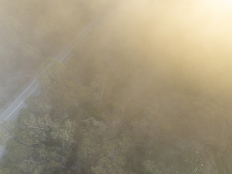 Aerial view of a winding road through dense forest shrouded in thick morning fog and golden sunlight near Kangaroo Creek Reservoir Adelaide Hills Council South Australia Australia. Aerial view of a winding road through dense forest shrouded in thick morning fog and golden sunlight near Kangaroo Creek Reservoir Adelaide Hills Council South Australia Australia.