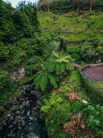 Aerial view of a vibrant tapestry of emerald foliage cascading down rocky slopes beside a winding stream in Achada Açores Portugal. Aerial view of a vibrant tapestry of emerald foliage cascading down rocky slopes beside a winding stream in Achada Açores Portugal.