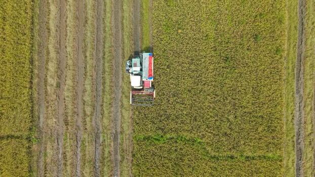 Aerial view of harvester in rice field Indonesia.