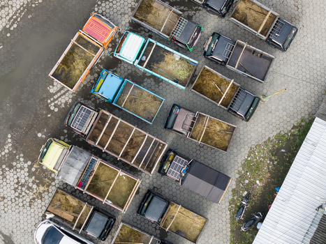 Aerial view of Animal Market Prambanan with small trucks parked on hexagonal pavement and beds filled with straw and hay in Kecamatan Prambanan Jawa Tengah Indonesia. Aerial view of Animal Market Prambanan with small trucks parked on hexagonal pavement and beds filled with straw and hay in Kecamatan Prambanan Jawa Tengah Indonesia.