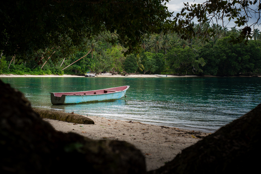 View of a serene turquoise boat rests on a sandy shore framed by dark foliage against the backdrop of lush green trees Gizo Gizo Solomon Island. View of a serene turquoise boat rests on a sandy shore framed by dark foliage against the backdrop of lush green trees Gizo Gizo Solomon Island.