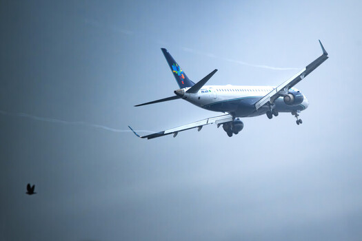 Rio de Janeiro Brazil 20 May 2026 View of an Azul Airlines airplane descending for landing against a misty sky with a bird flying in the foreground.