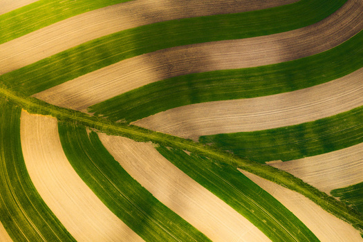 Aerial view of agricultural fields with alternating green and brown soil patterns in the rolling landscape of Brno South Moravian Region Czechia.