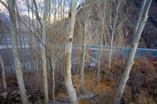 View of pale skeletal trees with autumn leaves contrasting a vibrant turquoise river and dark rugged mountains Unknown City Pakistan. View of pale skeletal trees with autumn leaves contrasting a vibrant turquoise river and dark rugged mountains Unknown City Pakistan.