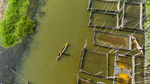 Aerial view of Lake Rawa Pening featuring traditional fish farming cages and a small wooden boat with a fisherman navigating the calm green water in Waduk Rawapening Central Java Indonesia. Aerial view of Lake Rawa Pening featuring traditional fish farming cages and a small wooden boat with a fisherman navigating the calm green water in Waduk Rawapening Central Java Indonesia.