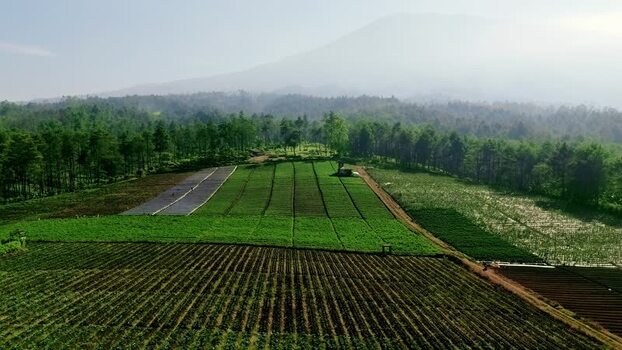 Aerial view of terraced farmland in Bukit Jengkoang Batu Indonesia.