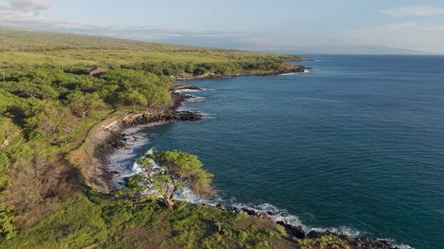 Aerial view of Mahukona Beach Park and the rugged coastline United States.