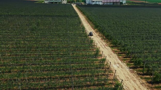 Aerial view of vineyard in Mala Remeta Serbia.