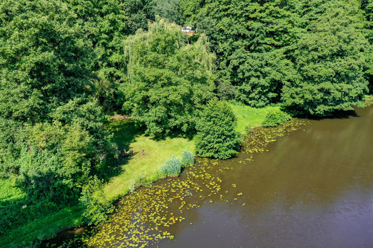 Aerial view of the Regnitzaltwasser with lush green trees and floating aquatic plants on the water surface in Forchheim Bayern Germany. Aerial view of the Regnitzaltwasser with lush green trees and floating aquatic plants on the water surface in Forchheim Bayern Germany.