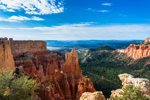 View of Bryce Canyon National Park with its iconic orange hoodoos pine forests and dramatic rock formations under a bright blue sky in Utah United States.