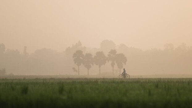 View of a man riding a bicycle through a misty field Bangladesh