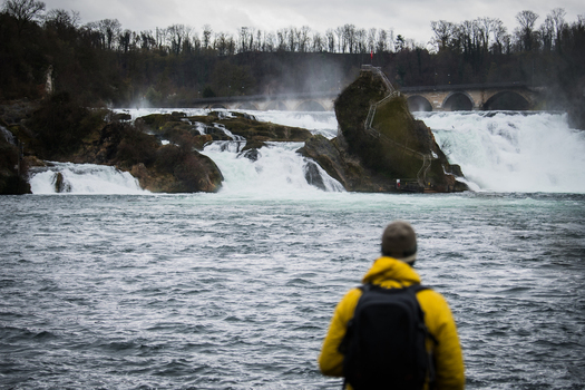 View of the Rhine Falls churning with frothy white water against a backdrop of dark bare trees as a lone figure in a yellow jacket gazes in awe Schaffhausen Switzerland. View of the Rhine Falls churning with frothy white water against a backdrop of dark bare trees as a lone figure in a yellow jacket gazes in awe Schaffhausen Switzerland.