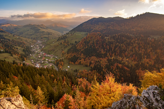 View of a mountain valley with vibrant autumn foliage a small village nestled among the trees and a winding road under a warm sunset sky in Alba County Romania. View of a mountain valley with vibrant autumn foliage a small village nestled among the trees and a winding road under a warm sunset sky in Alba County Romania.