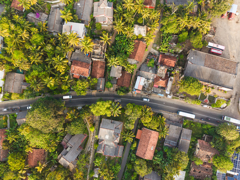 Aerial view of a residential neighborhood with houses nestled among lush palm trees and a winding road with buses during golden hour in Galle Southern Province Sri Lanka.