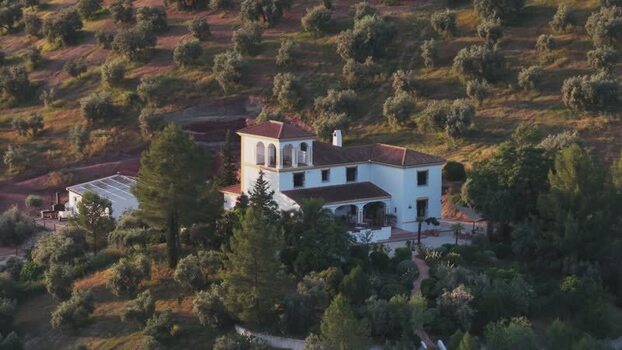 Aerial view of a traditional villa and olive groves Spain.