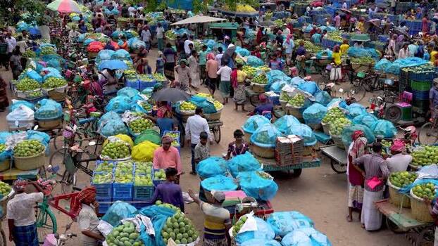 View of a crowded mango market in Chapai Nawabganj Bangladesh.