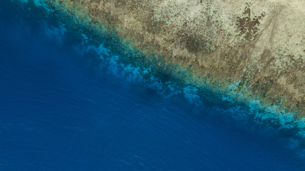 Aerial view of the vibrant coral reef and turquoise shallow waters meeting the deep blue ocean along the coastline of Raja Ampat Southwest Papua Indonesia.