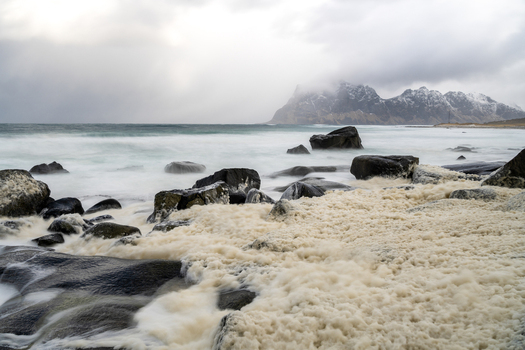 View of sea foam washing over dark rocks on a beach with snow capped mountains under a cloudy sky in Leknes Lofoten Norway.