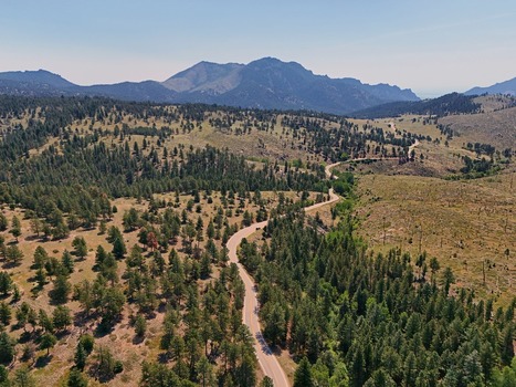 Aerial view of Walker Ranch featuring a winding road through a dense pine forest with mountainous terrain in the background in Boulder Colorado United States.