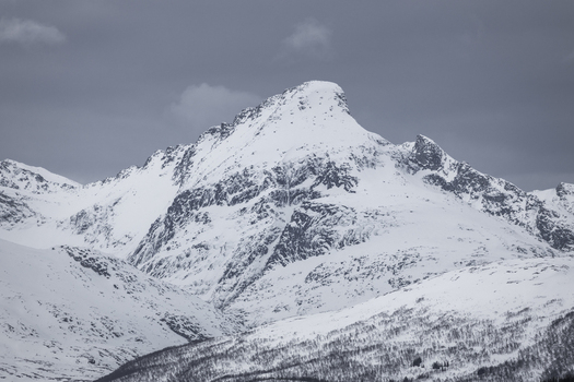 View of a majestic snow covered mountain peak under a moody overcast sky with sparse trees in the foreground Tromso Troms Norway.